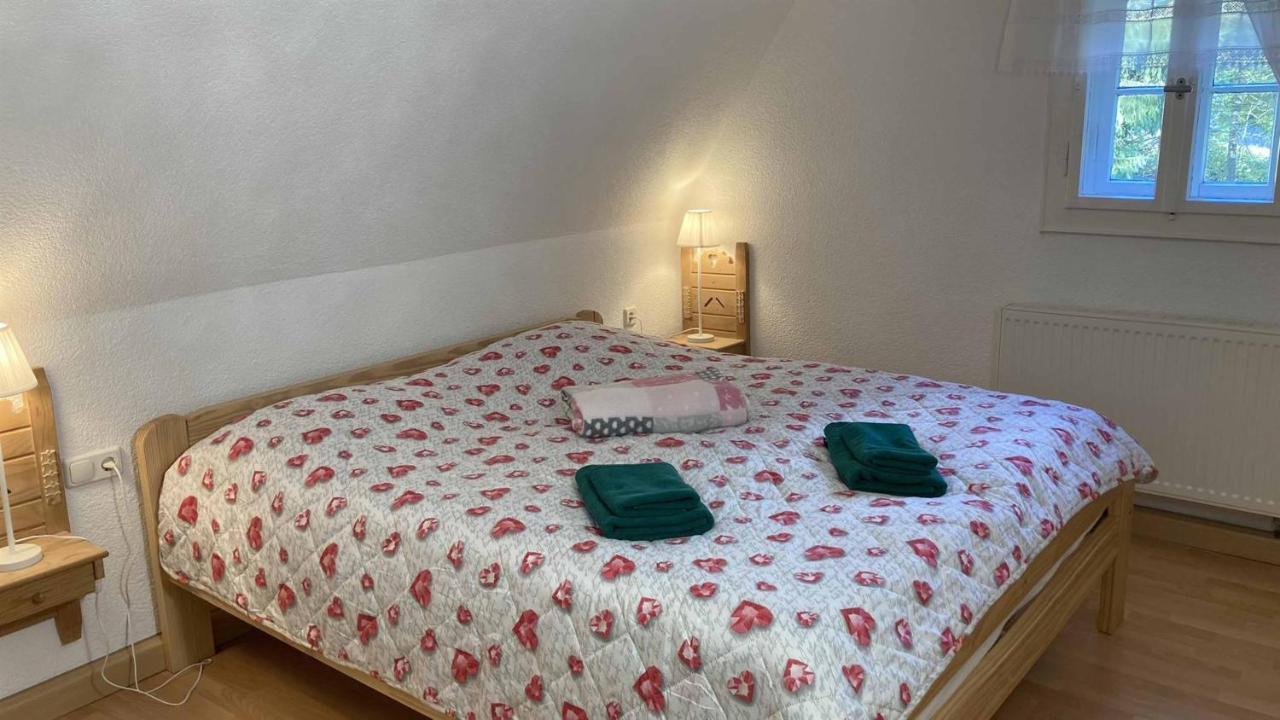 Pension Zur 23 Altenberg ภายนอก รูปภาพ