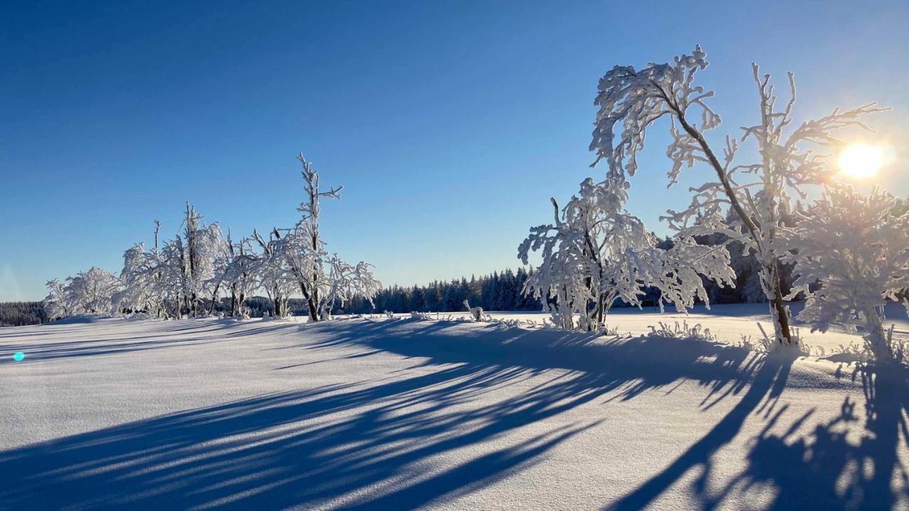 Pension Zur 23 Altenberg ภายนอก รูปภาพ